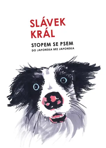 Slávek Král - Stopem se psem