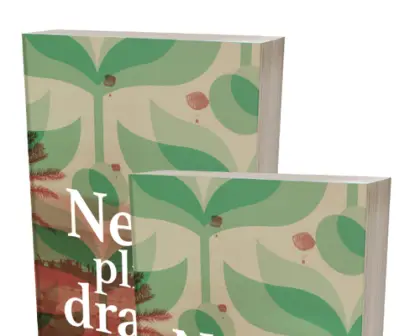 Stanislav Havlíček - Nebe plné draků 2x