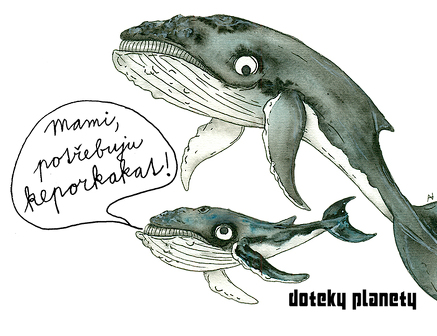 Bílé triko Doteky planety - keporkaci - náhled 2